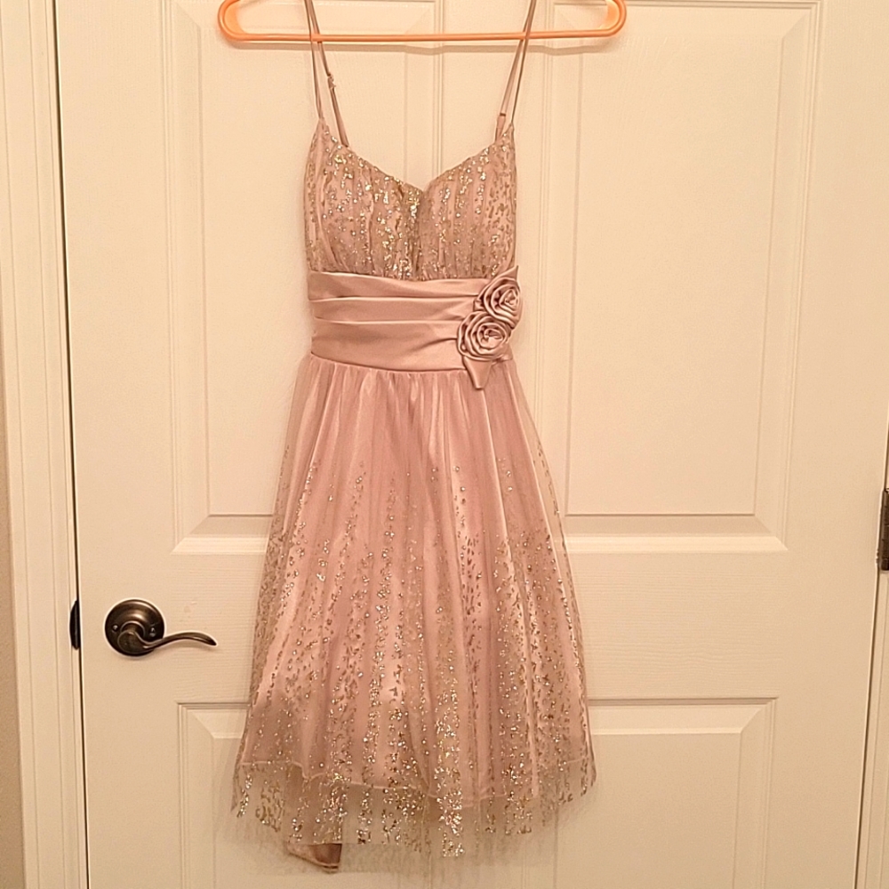 B. Darlin gold leopard print sparkle dress